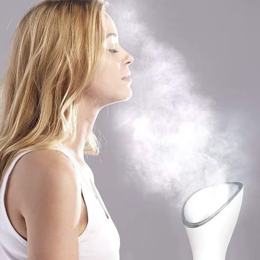 Face Beauty Steamer